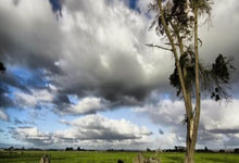 天涯论坛情感天地事件，真的是八卦の心情 unable to handle！